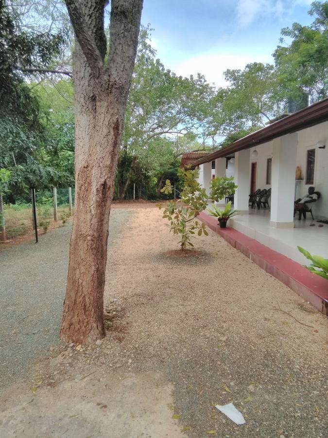 Hotel Amadi Rest Kataragama Zewnętrze zdjęcie